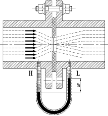 体育app官网登录
