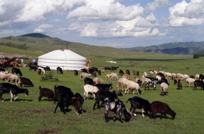 Проект «Вечная Монголия»: Улан-Батор подписал крупнейшее в Азии соглашение по климатическому финансированию